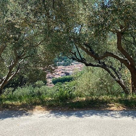 Studio Collobrieres Vue Sur Village Dış mekan fotoğraf