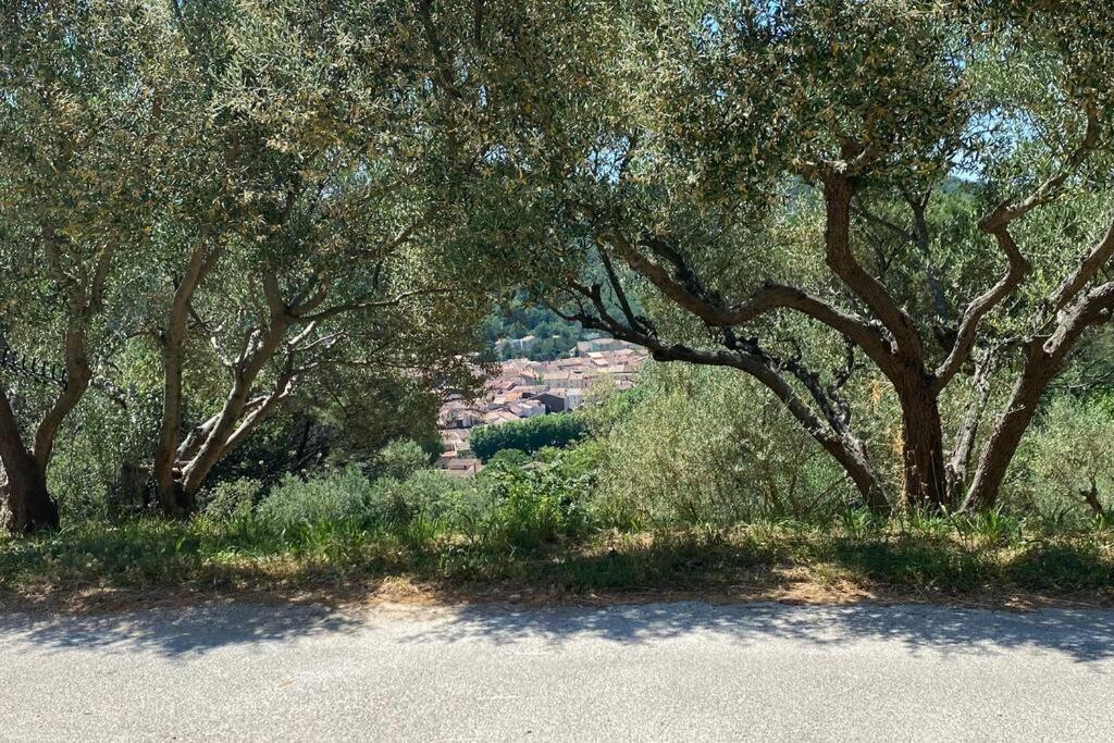 Studio Collobrieres Vue Sur Village Dış mekan fotoğraf